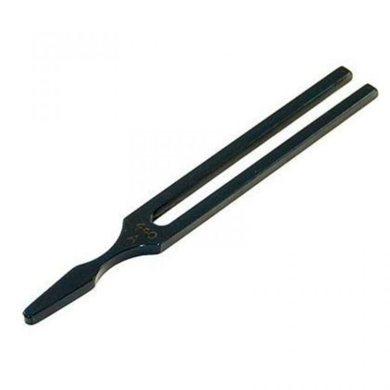 large tuning fork